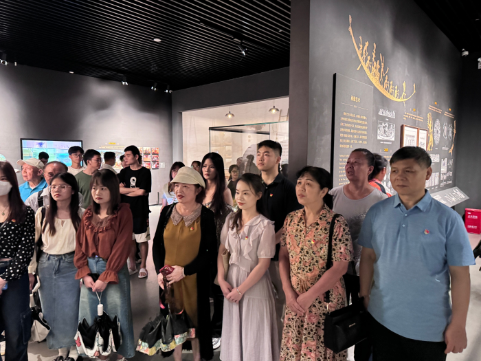 beats365官网 网页版